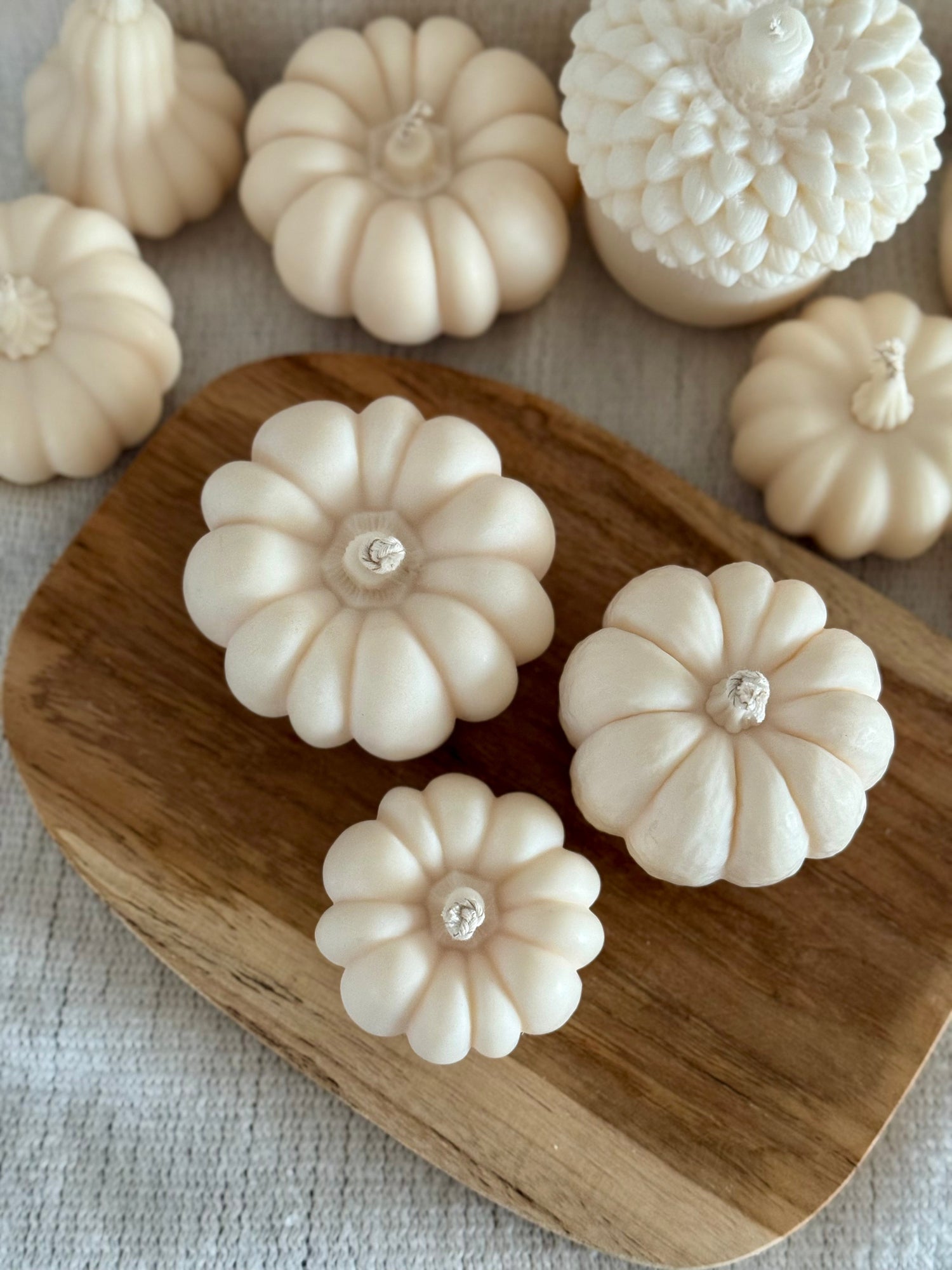 4 - Herbstklopfen 🍂